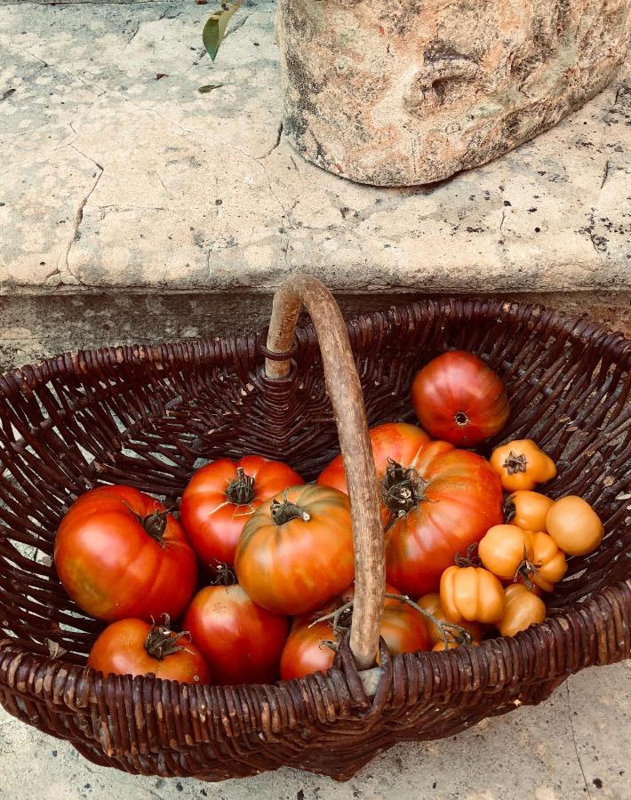 La Parenthese Bed and Breakfast Saubrigues Εξωτερικό φωτογραφία